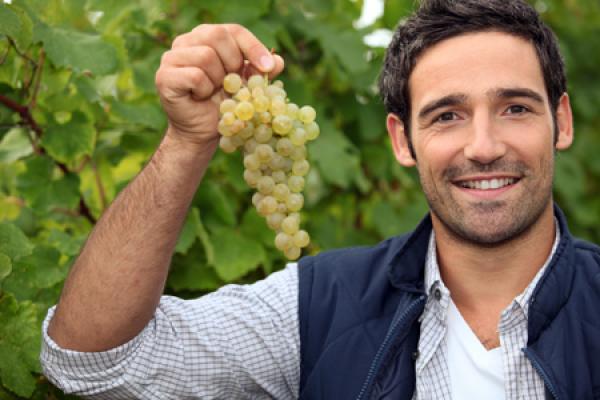 weinbauer