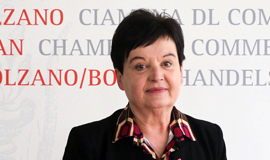 Johanna Santa Falser